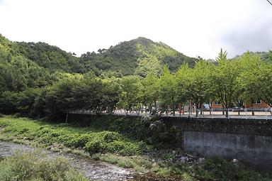 강원도 삼척시 동막골 야영장 바로가기