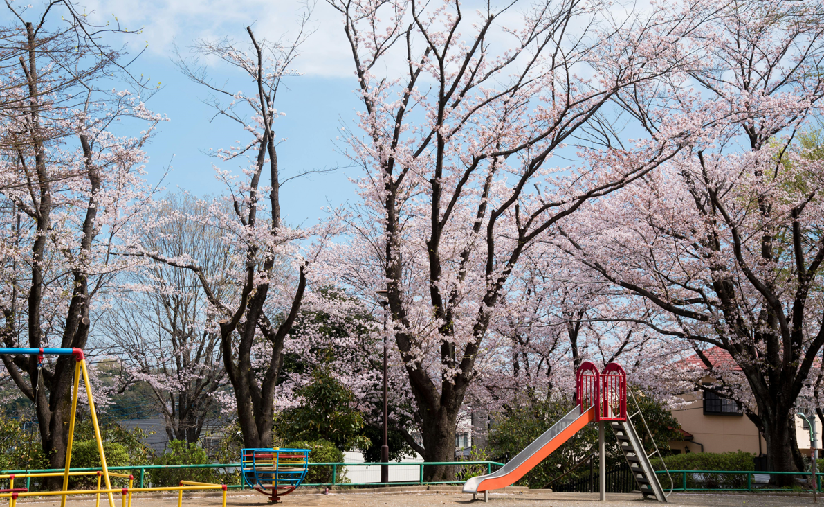 한국의 도시 세종특별자치시 이야기
