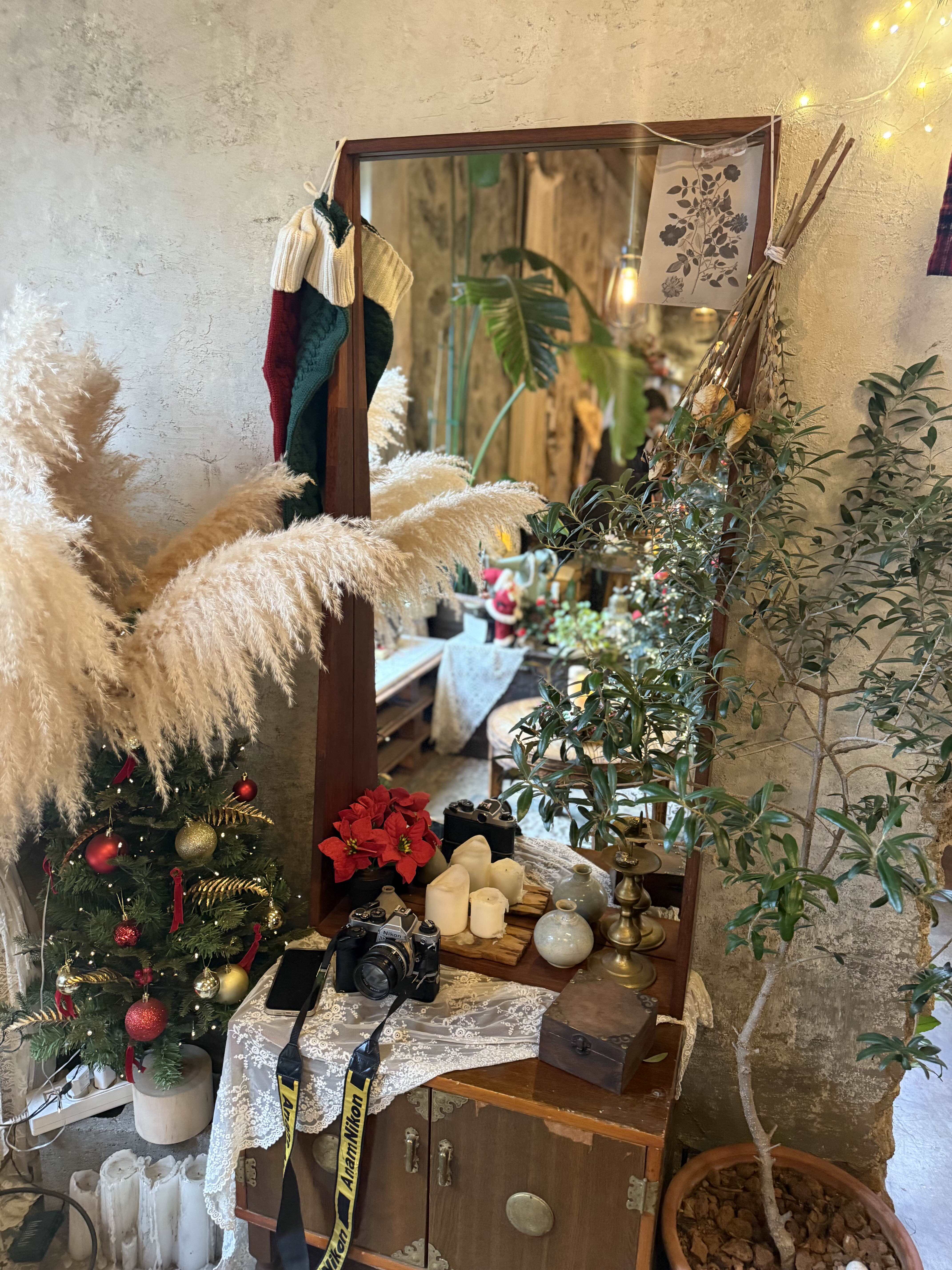 귤꽃다락 포토존