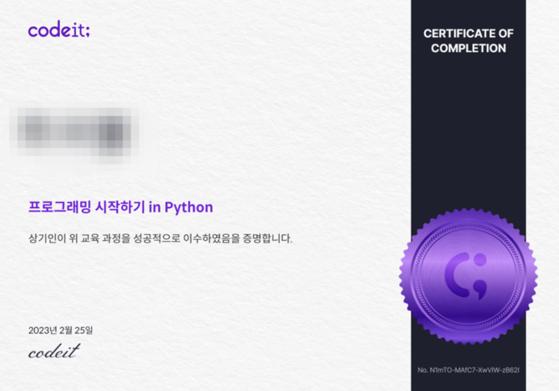 코드잇 내돈내산 효과