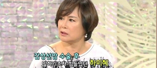 탤런트 하미혜
