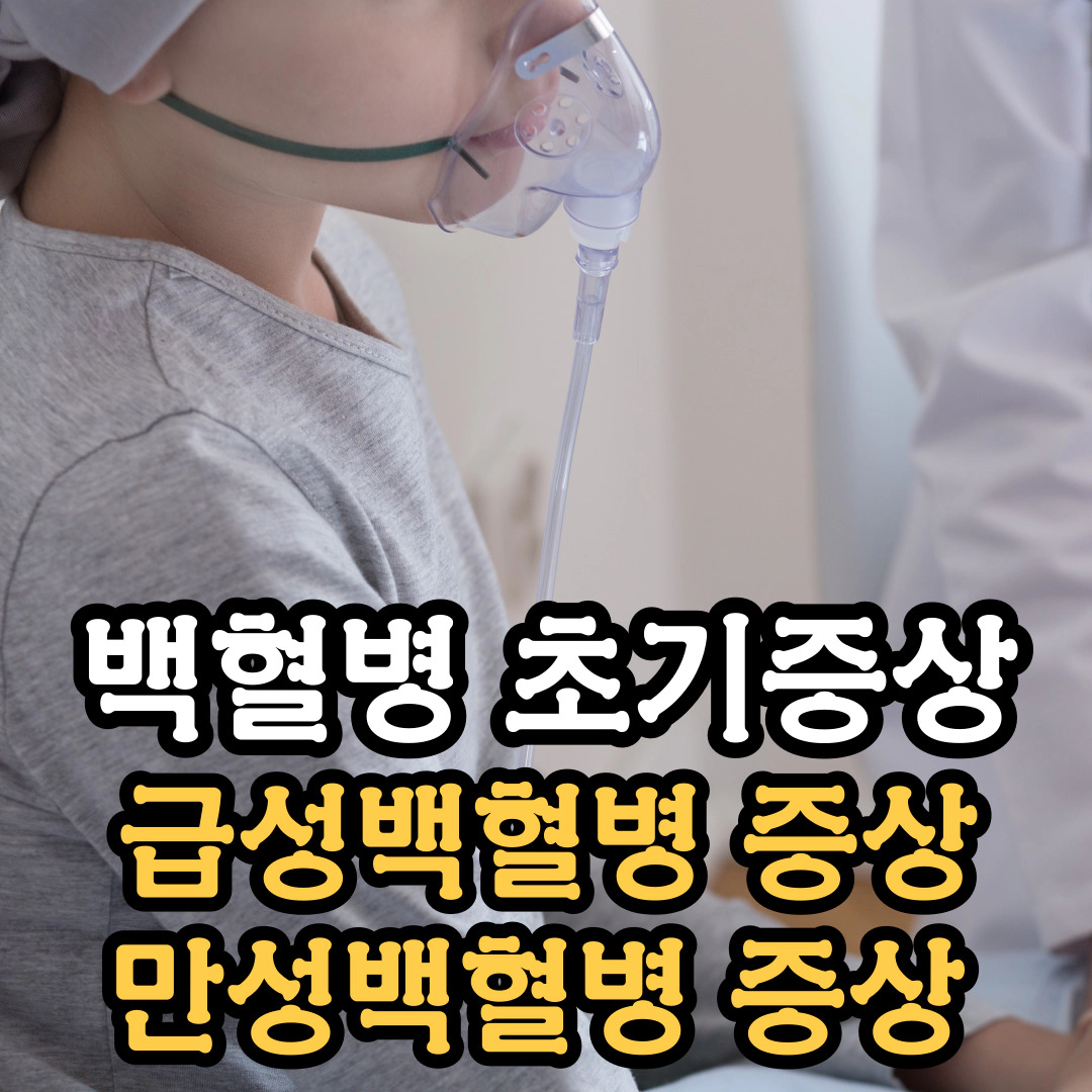 백혈병 초기증상 급성백혈병 증상 만성백혈병 증상