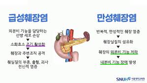췌장염 환자의 자연치료법과 관리: 췌장염에서 췌장암으로의 발전 가능성까지