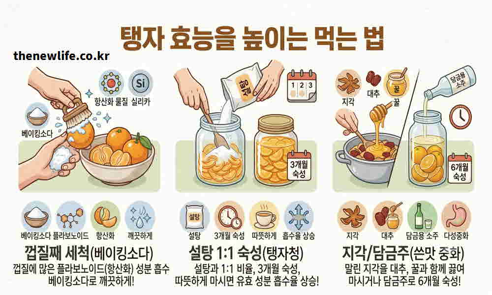탱자 효능 높이는 먹는 법