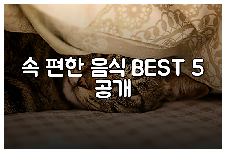 속 편한 음식 BEST 5 공개