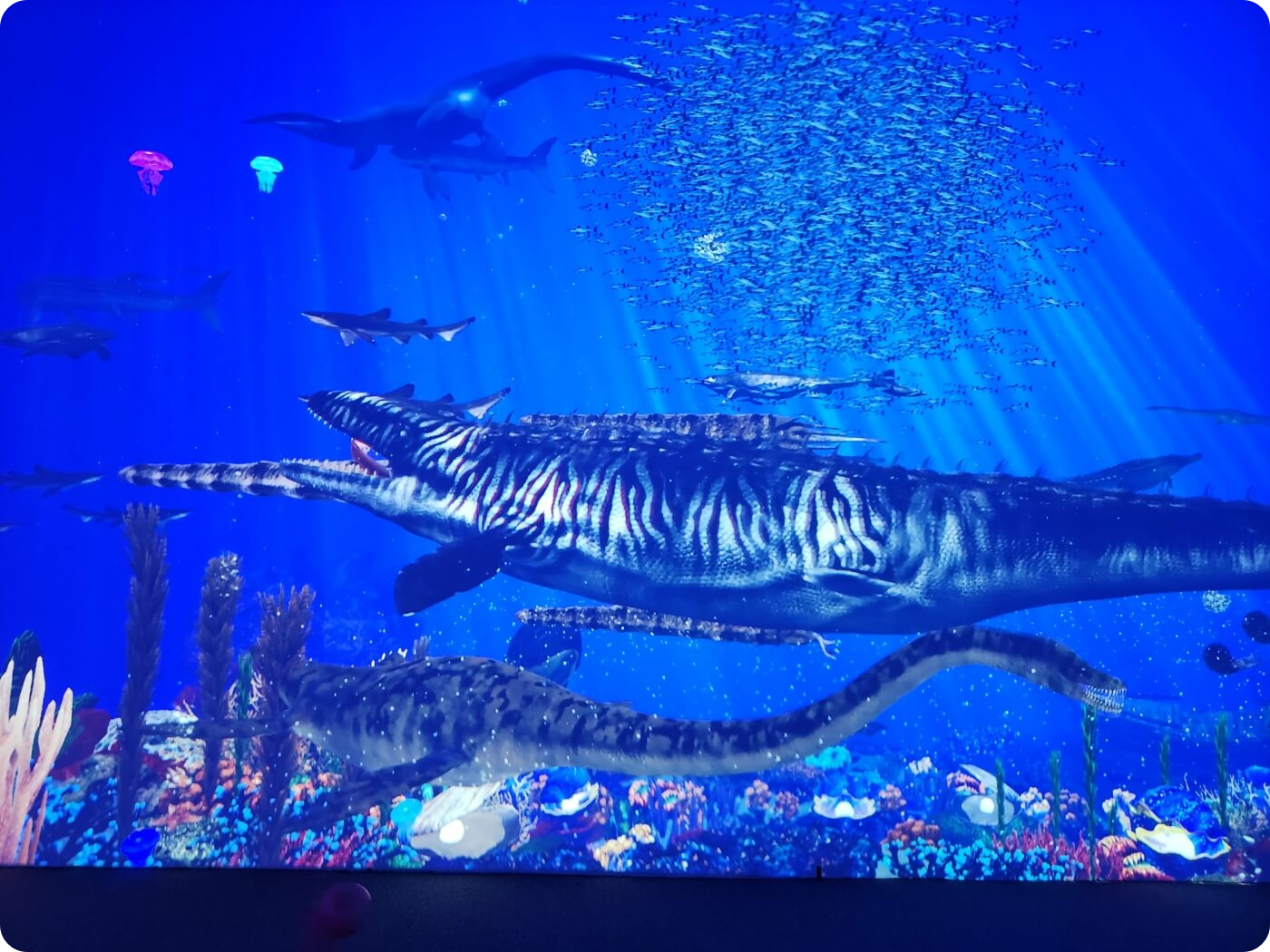 바닷속 공룡 영상