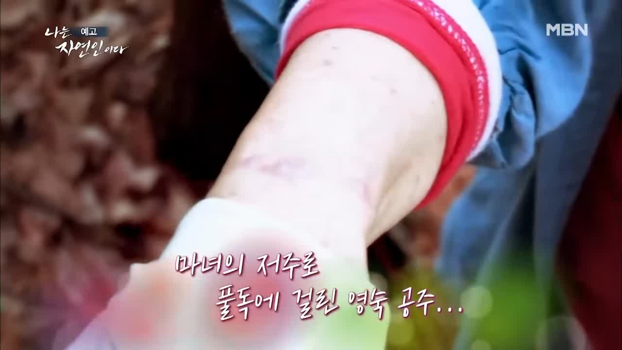 이승윤 윤택 나는 자연인이다 511회 나의 첫 독립일기 자연인 이영숙 소개 및 출연 다시보기