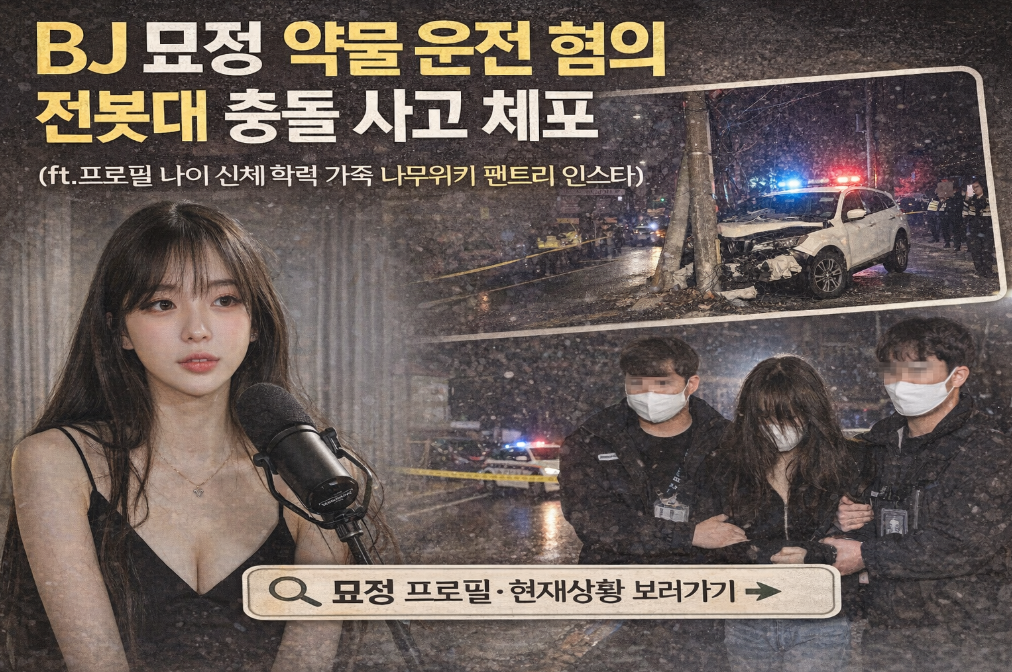 BJ 묘정 약물운전 사고 전말 3분 완벽정리