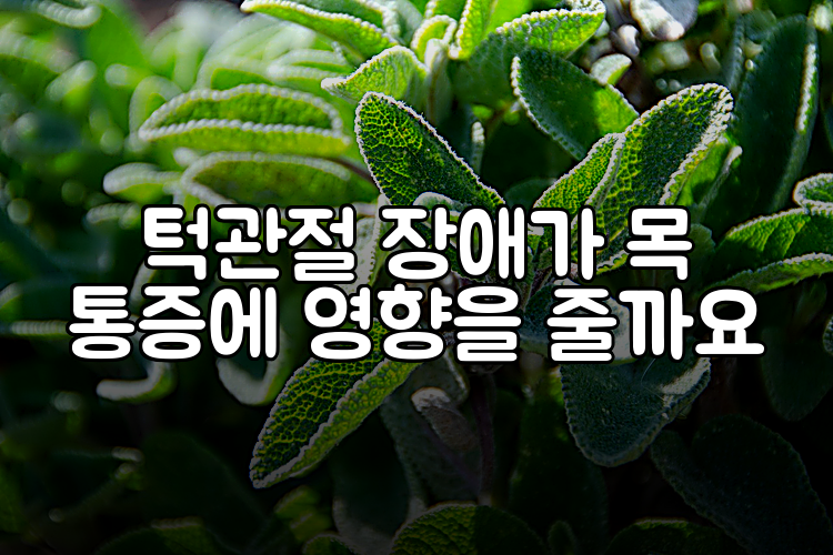 턱관절 장애가 목 통증에 영향을 줄까요