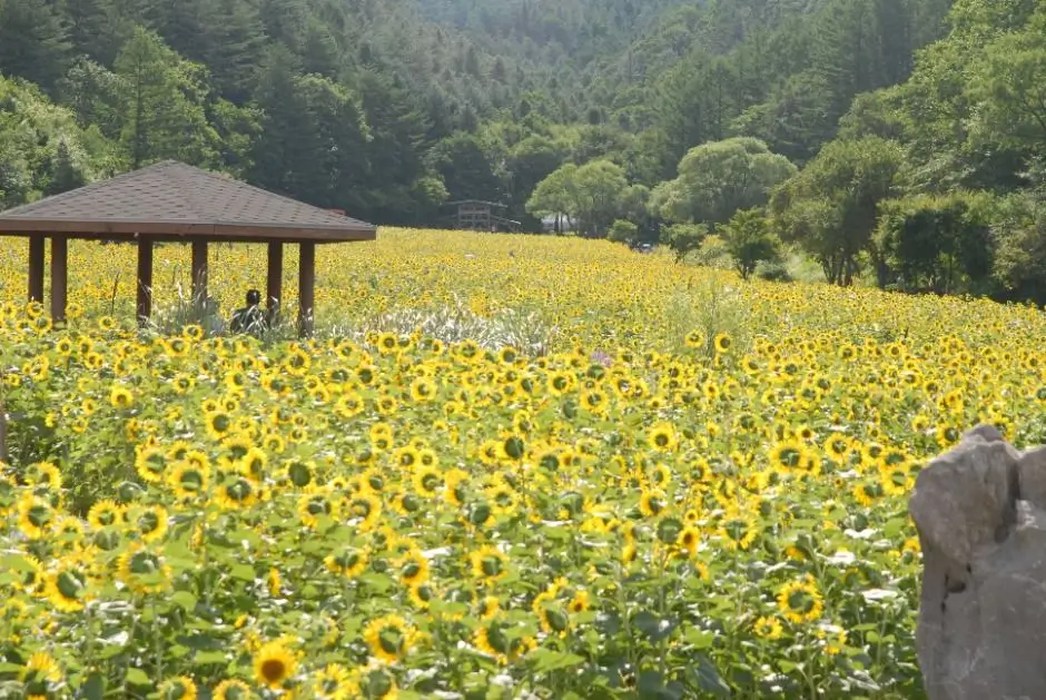 defc9c88-a69e-4fd5-8d79-e04c4bfdb9ab_5