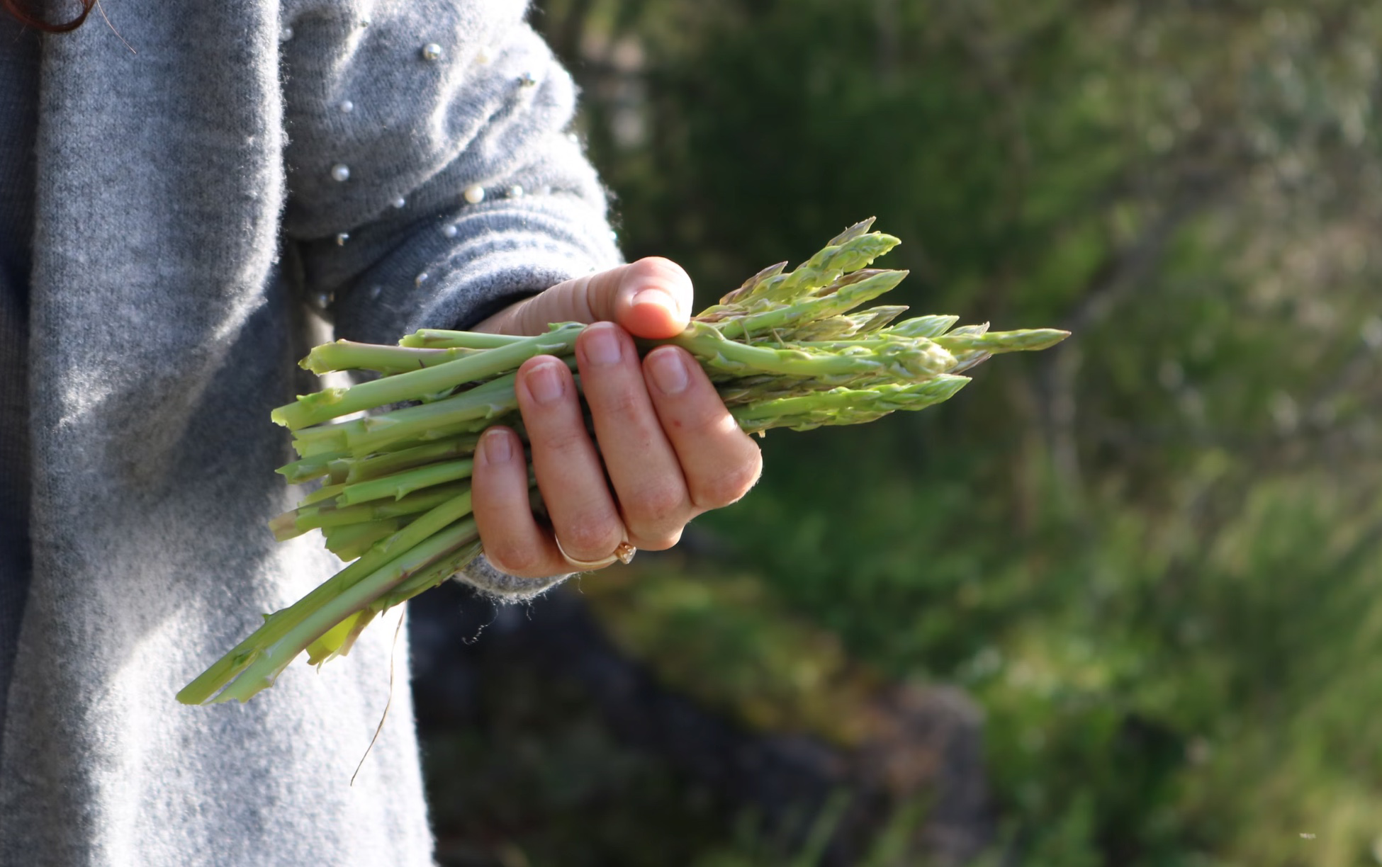 아스파라거스 구이로
