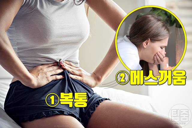 마그네슘 많은 음식 마그네슘 하루 권장량 부작용