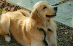 우리집 등장인물 출연진 인물관계도 우리집 재방송 OTT 다시보기 총정리