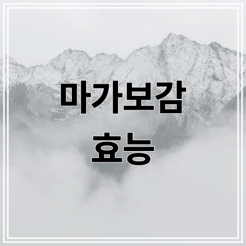 마가보감 효능