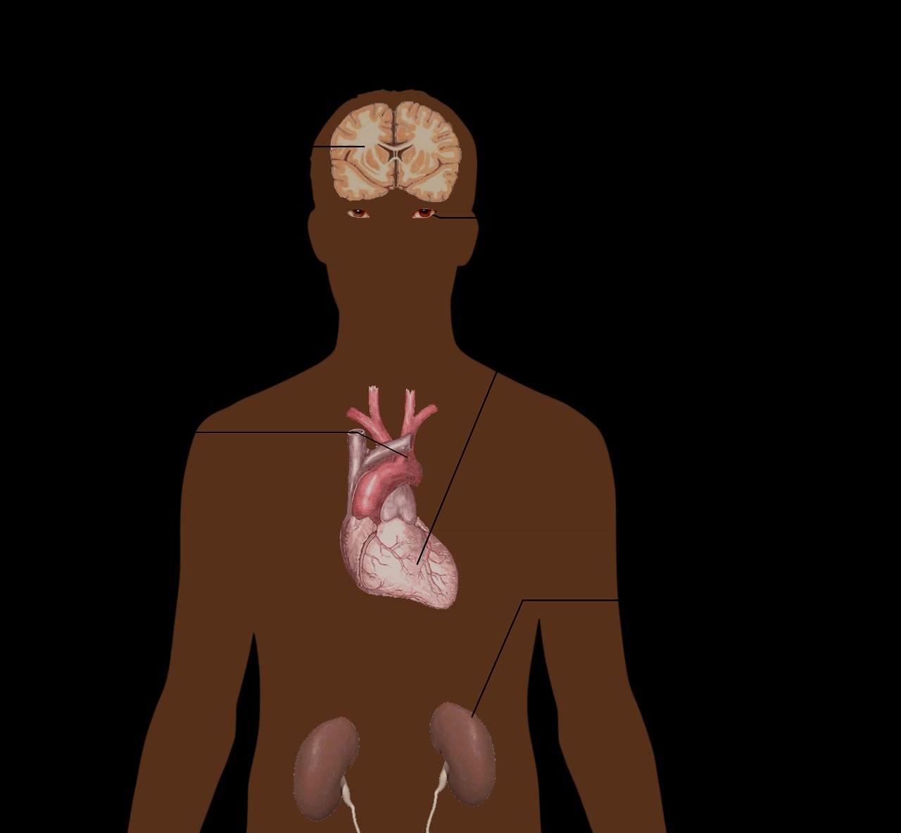 오메가3-효능-효과-고혈압-심혈관질환