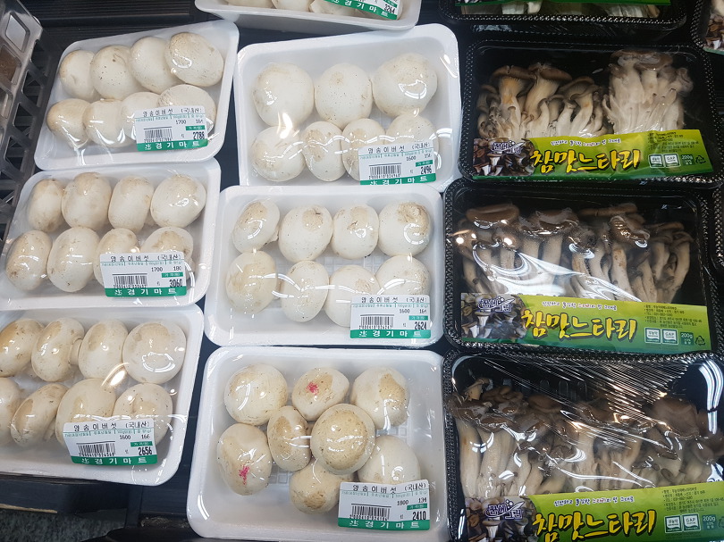 많이 먹는 버섯 종류1