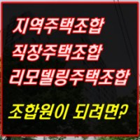 이미지 내용 없음