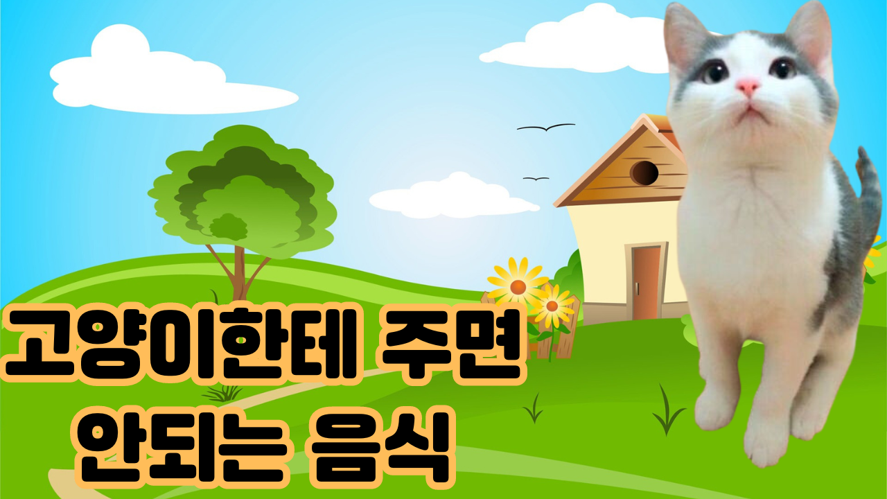 고양이한테 주면 안되는 음식