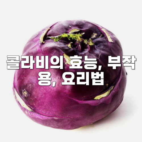 콜라비의 효능, 부작용, 요리법