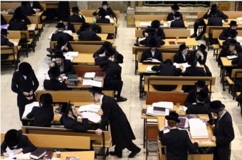 하브루타(Havruta)