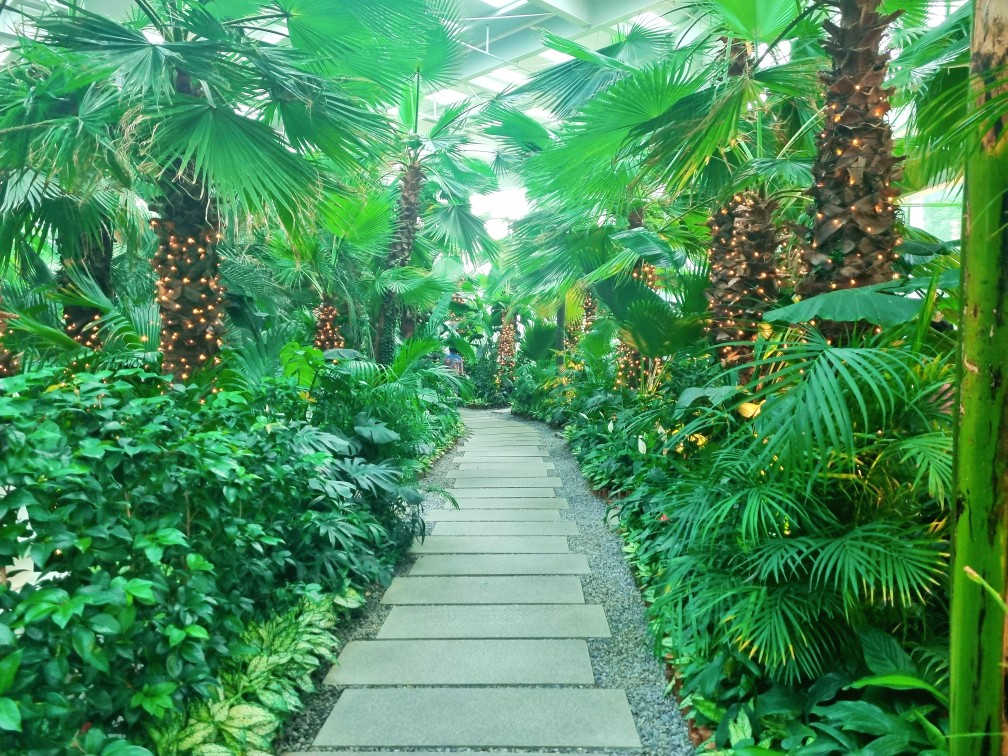 팔방미인 파주 문지리 535 카페 매력 포인트: 드넓은 논밭 뷰와 초록을 담은 실내 식물원