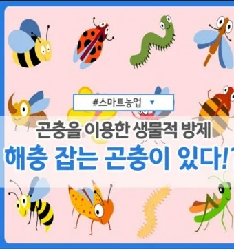 병해충 천적 활용 무당벌레 기생벌 끈끈이트랩 친환경 방제_10
