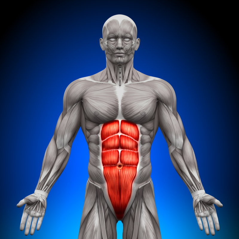 횡문근 융해증 원인