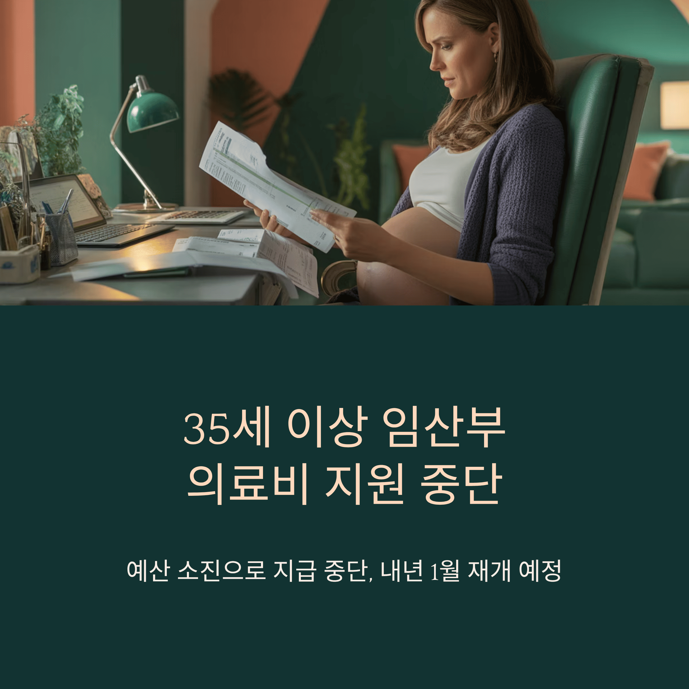 서울시 35세 이상 임산부 의료비 지원 예산 고갈