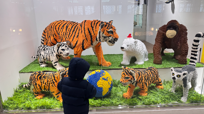 아이와 부산여행 실내 놀거리 추천! 브릭캠퍼스 후기