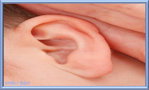 귀 통증 원인 오른쪽 머리 귀 뒤쪽 통증