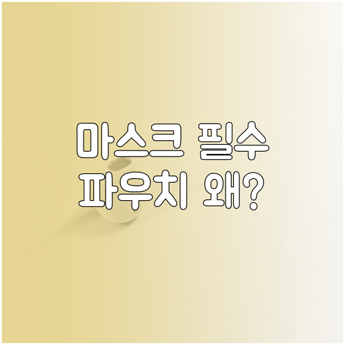 마스크 파우치, 왜 필요할까? 종류와..