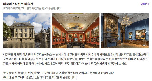 마우리츠 하위스 미술관