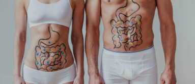 유산균(프로바이오틱스)