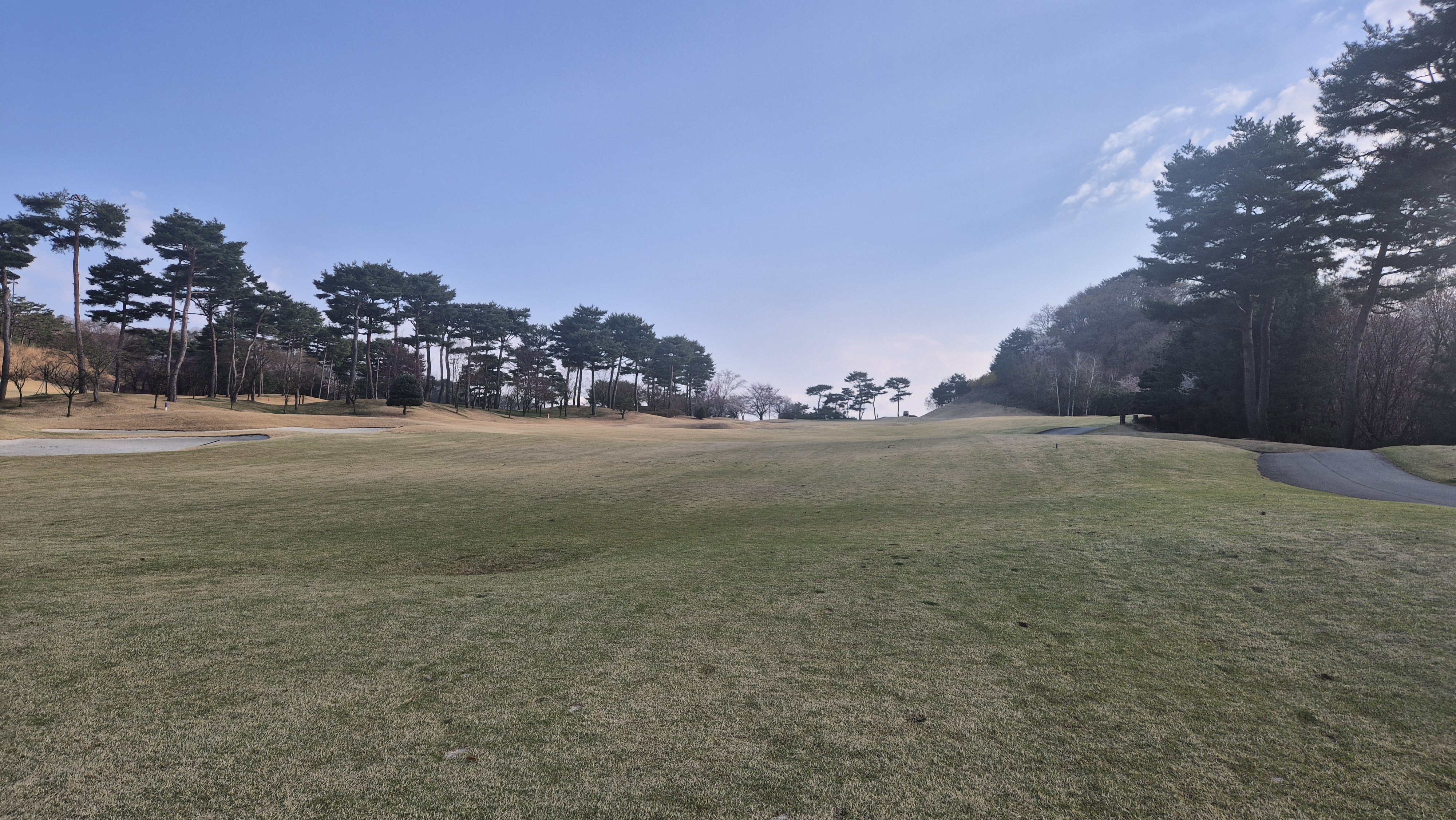 안성베네스트gc 동-남 코스 사진 및 공략 정보