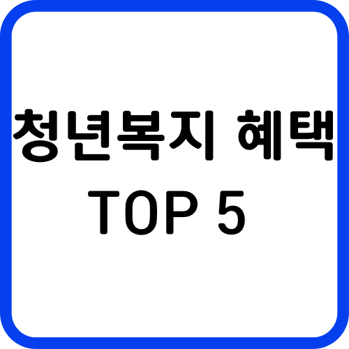 청년 복지 TOP 5