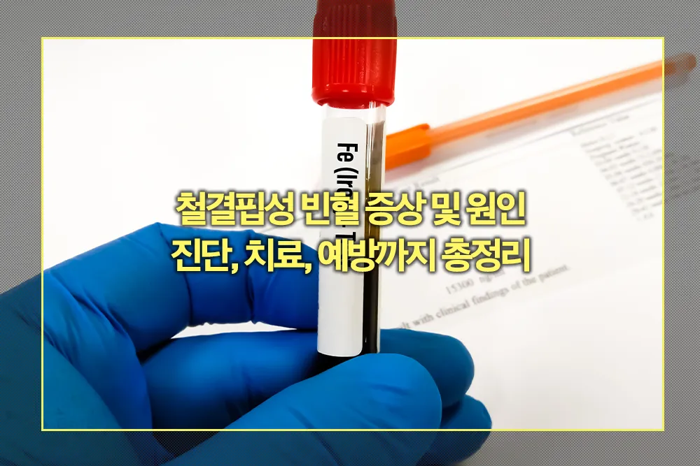 철결핍성 빈혈 증상 원인 진단 치료