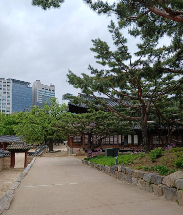 자연과 잘 어울리는 건물들