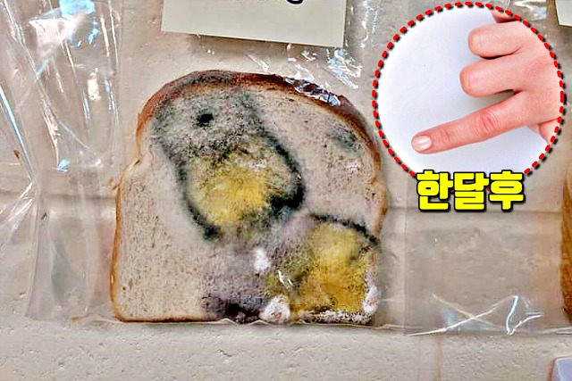 코로나 예방 비누 효과