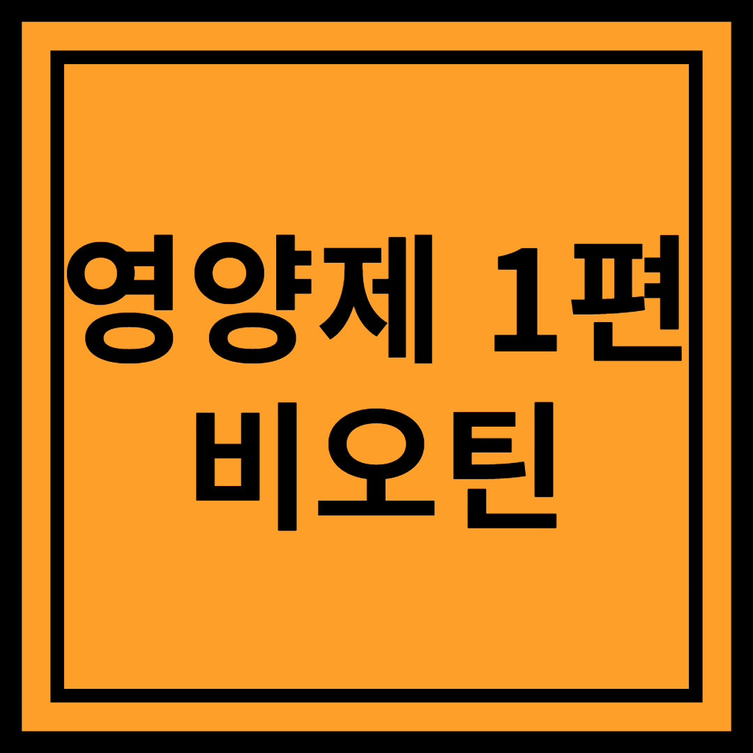 비오틴 효능 총정리: 머리카락, 피부, 손톱 건강에 좋은 영양제