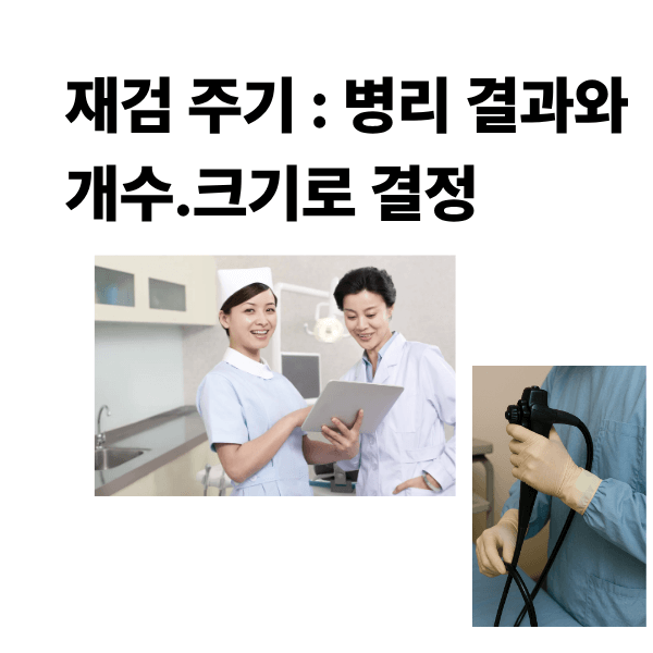 재검 주기: 병리결과와 개수·크기로 결정