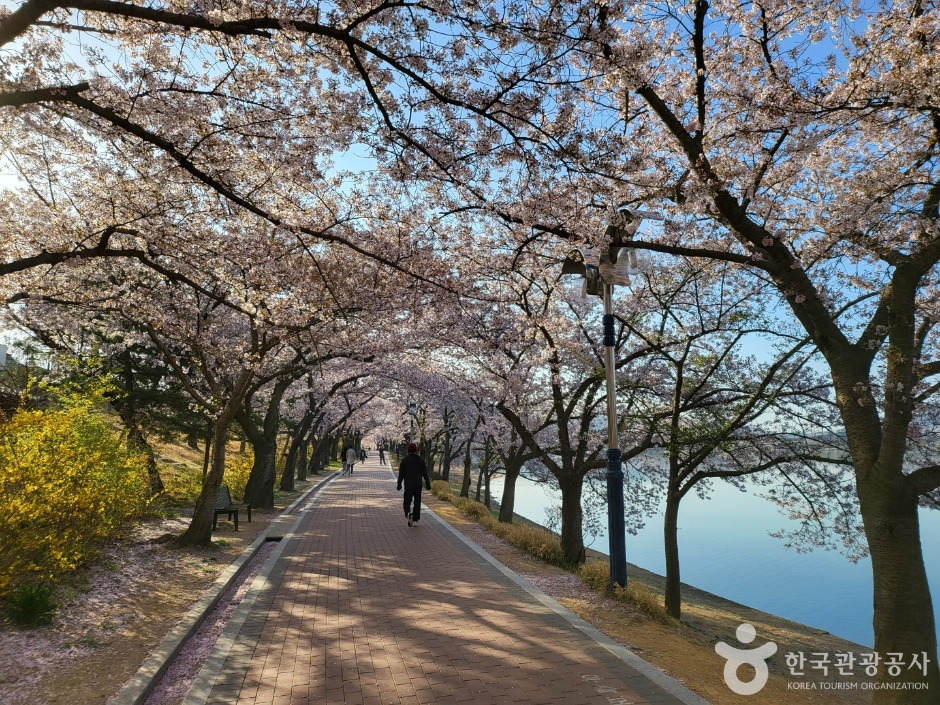 경주 가볼만한 곳 베스트 10 (2025 최신판)