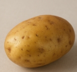 칼륨이 많은 음식