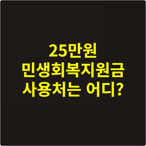 25만원 민생회복지원금 사용처는 어디