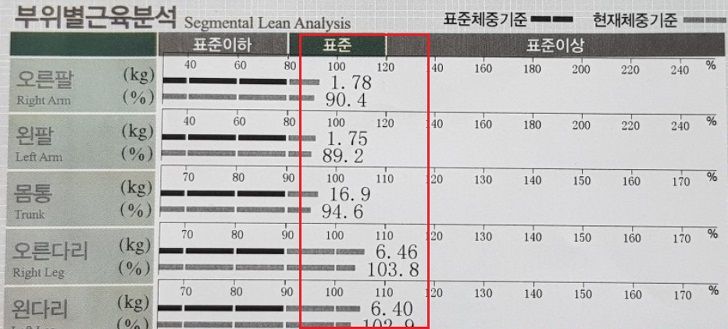부위별-근육분석