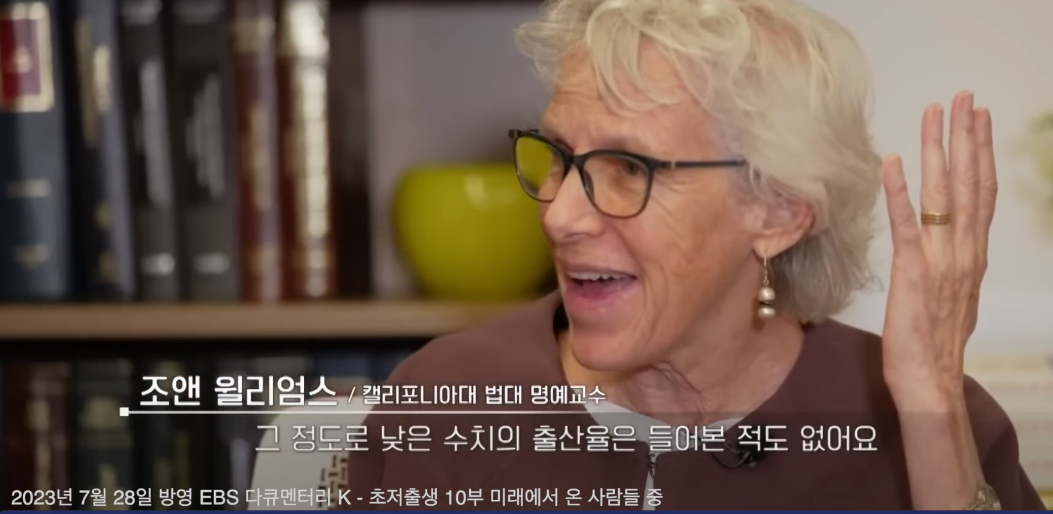 캘리포니아대학교 법대 명예교수(조앤 일리엄스)