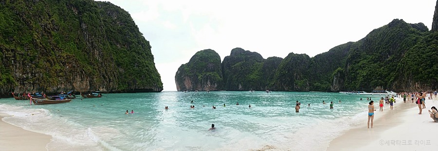 세팍타크로라이프