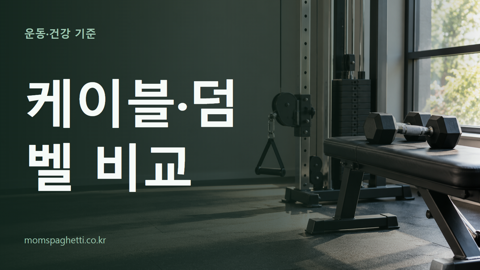 케이블·덤벨 비교 주제의 설명용 AI 생성 이미지와 제목 문구