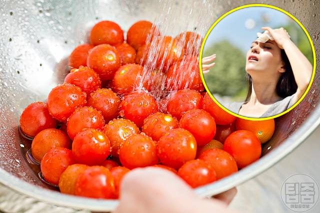 더위 먹었을때 좋은 음식 토마토 더위먹은증상