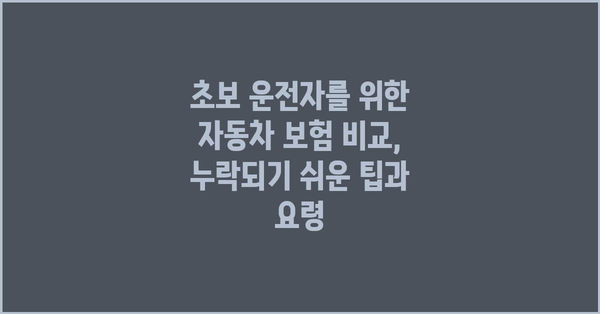 초보 운전자를 위한 자동차 보험 비교