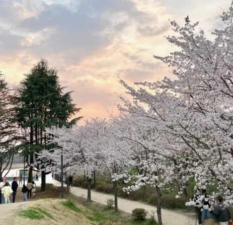 덕진공원